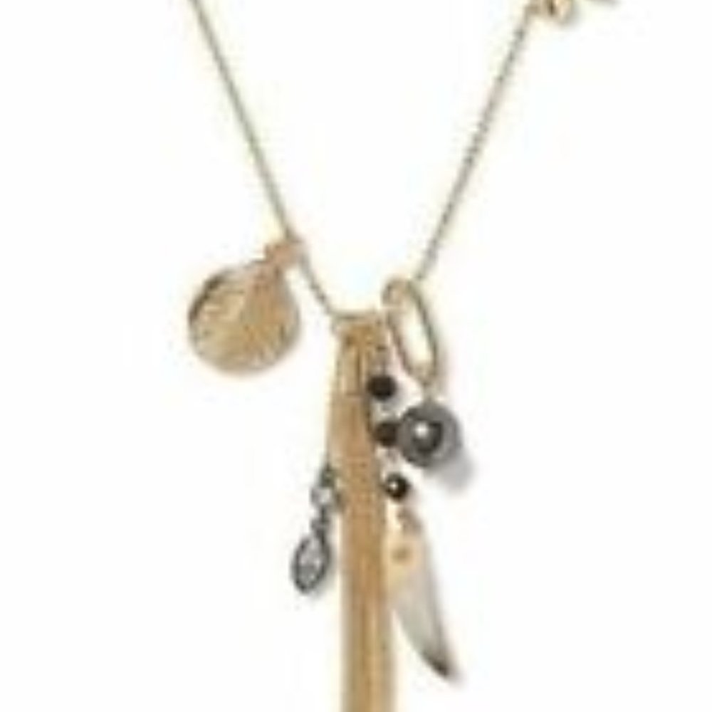 Banana Republic Multi Charm tassel Horn Gold Resin Pendant Necklace NWT 48.50